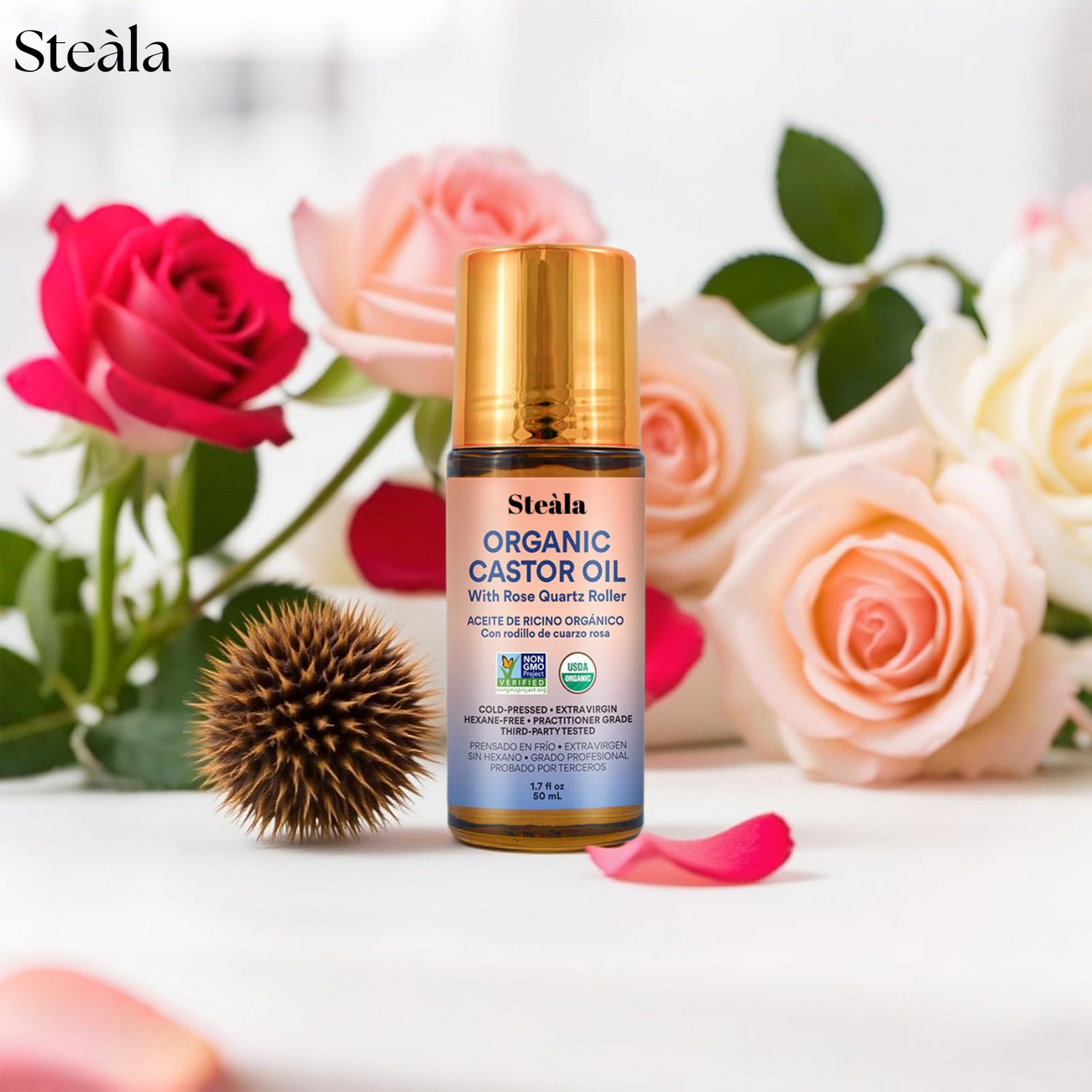 Steàla GoldenRoot Roll-On & Brow Set